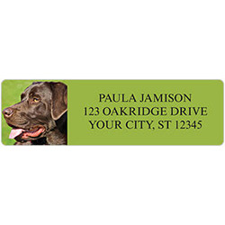 Labrador Retriever Address Labels