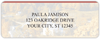 Majestic America Address Labels - 4 Scenes