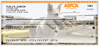 ASPCA � Dogs Checks - 4 Scenes