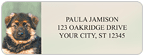 Puppy Love Address Labels - 4 Scenes