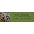 Schnauzer Address Labels