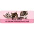 Precious Kittens Address Labels