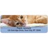 Precious Kittens Address Labels