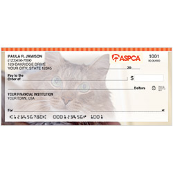ASPCA � Cats Checks - 4 Scenes