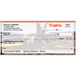 ASPCA � Dogs Checks - 4 Scenes