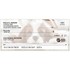 Humane World for Animals Dogs Checks