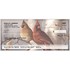 Hautman Bros. Songbirds Checks