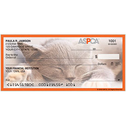 ASPCA  Kittens Checks