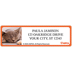 ASPCA � Kittens Address Labels