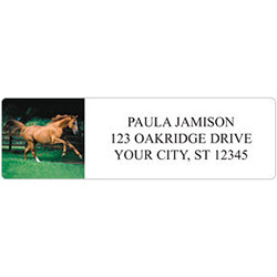 Power & Grace Address Labels - 5 Scenes