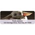 <i>Star Wars</i>&#153; The Child Address Labels