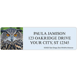 San Diego Zoo Owl Address Labels