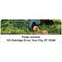 Pups & Trucks Address Labels