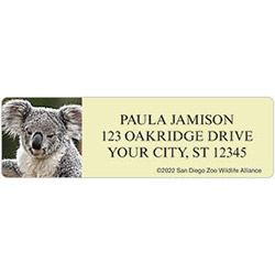 San Diego Zoo Koala Address Labels