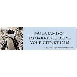 San Diego Zoo Penguin Address Labels