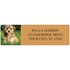 Havanese Address Labels