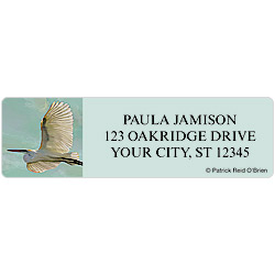 Shore Birds Address Labels