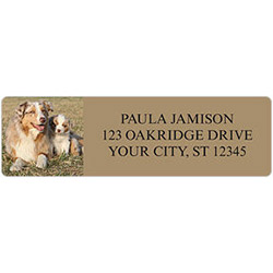 Australian Shepherd Address Labels