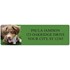 Australian Shepherd Address Labels