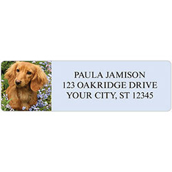 Dachshund Address Labels