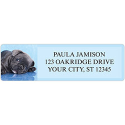 French Bulldog Address Labels