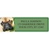 French Bulldog Address Labels