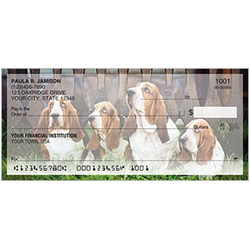 Basset Hound Checks