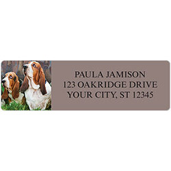 Basset Hound Address Labels