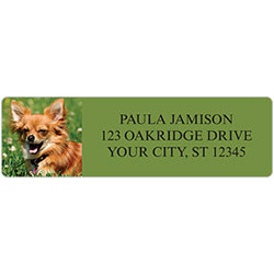 Chihuahua Address Labels