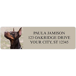 Doberman Pinscher Address Labels