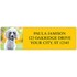 Poodles Address Labels