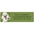 Poodles Address Labels