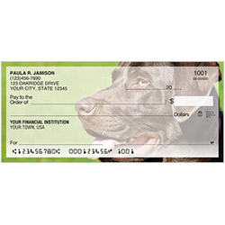 Labrador Retriever Checks