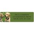 Golden Retriever Address Labels