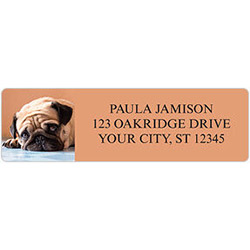 Pug Address Labels