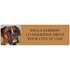 Boxer Address Labels