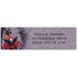 Villains Address Labels - 8 scenes