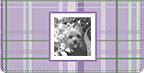 Capture the Moment Checkbook Cover