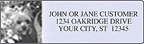 Capture the Moment Address Labels