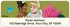 Disney Princess Friends Address Labels